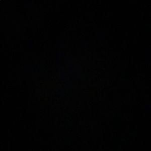 Meet your Posher, Damien